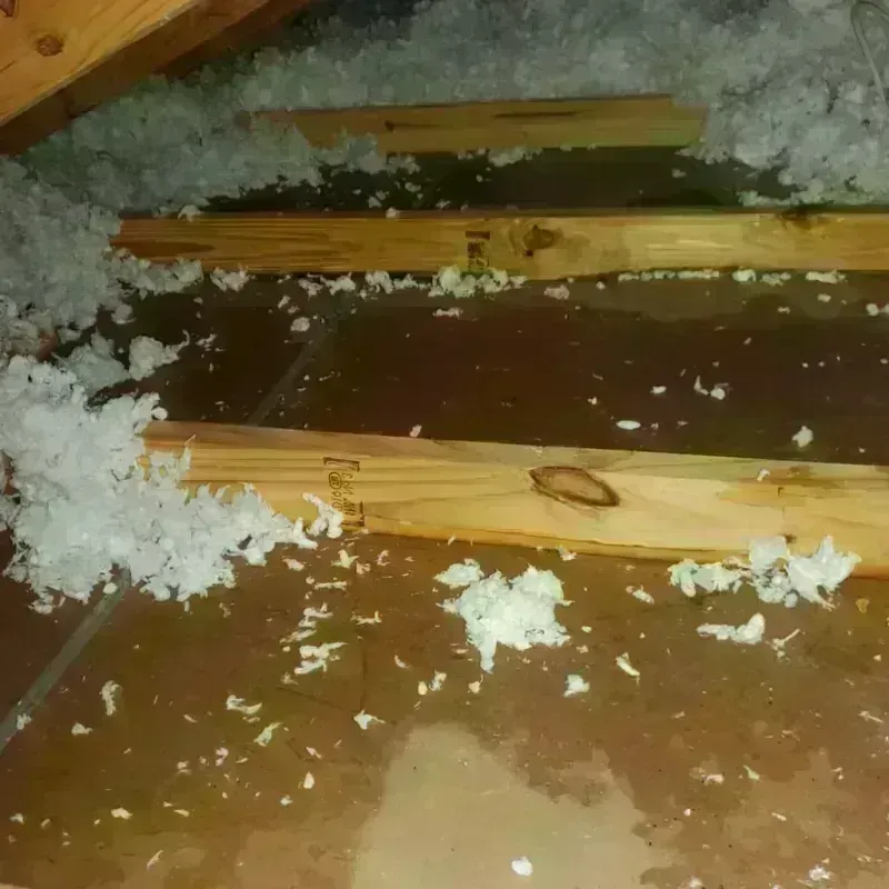 Attic Water Damage in University Center, VA